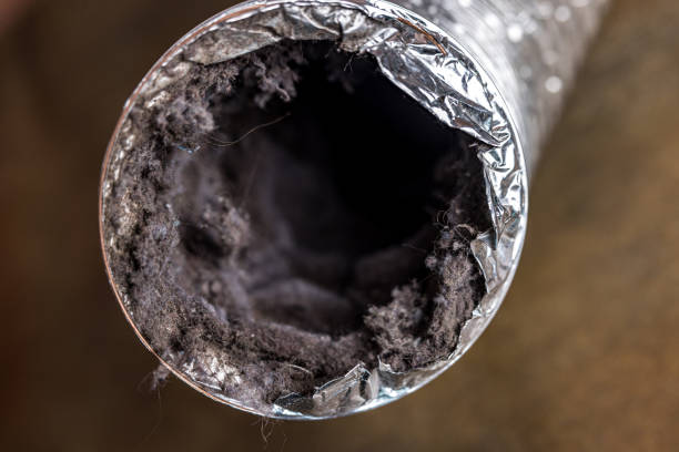 Best HVAC System Cleaning  in Texkana, AR